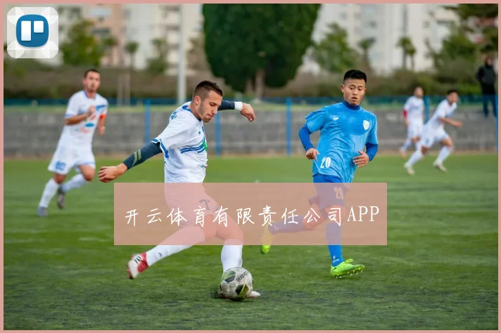 开云体育有限责任公司APP