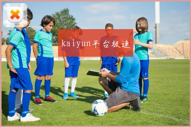 kaiyun平台极速