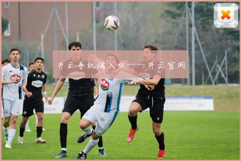 开云手机端入口——开云官网
