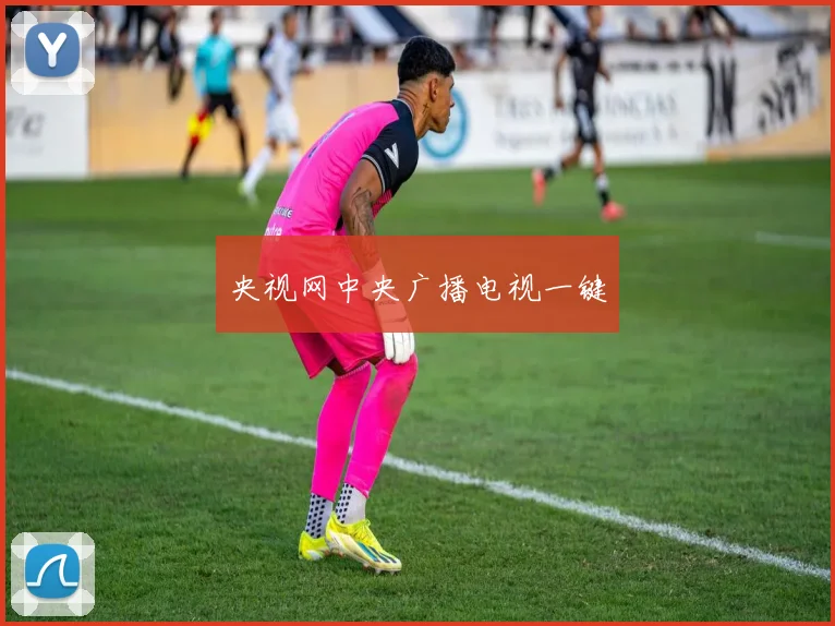 央视网中央广播电视一键