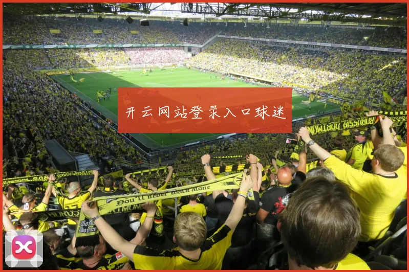 开云网站登录入口球迷