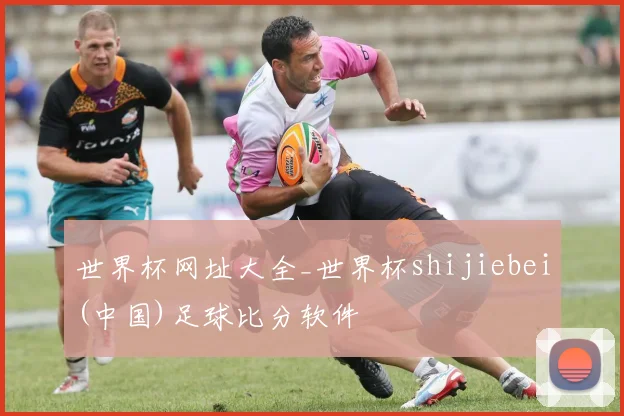 世界杯网址大全_世界杯shijiebei(中国)足球比分软件