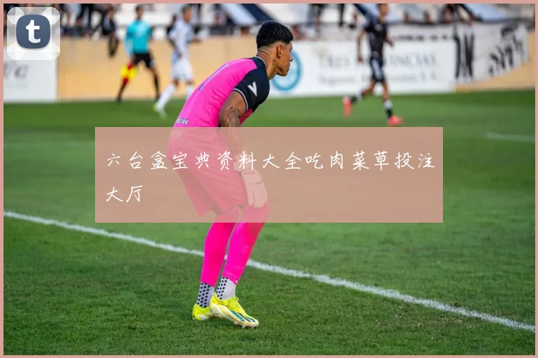 六台盒宝典资料大全吃肉菜草投注大厅