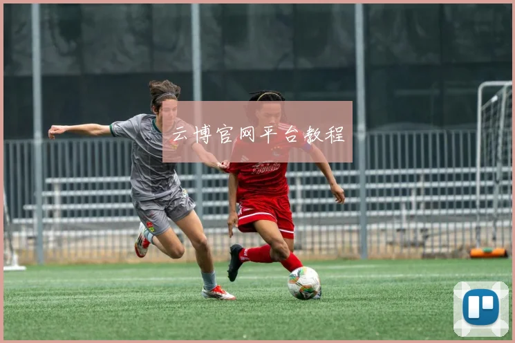 云博官网平台教程