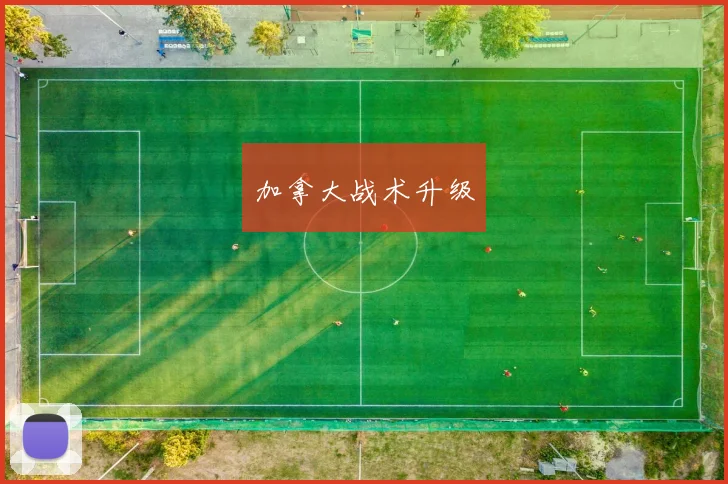 加拿大战术升级