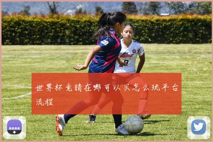 世界杯竞猜在哪可以买怎么玩平台流程