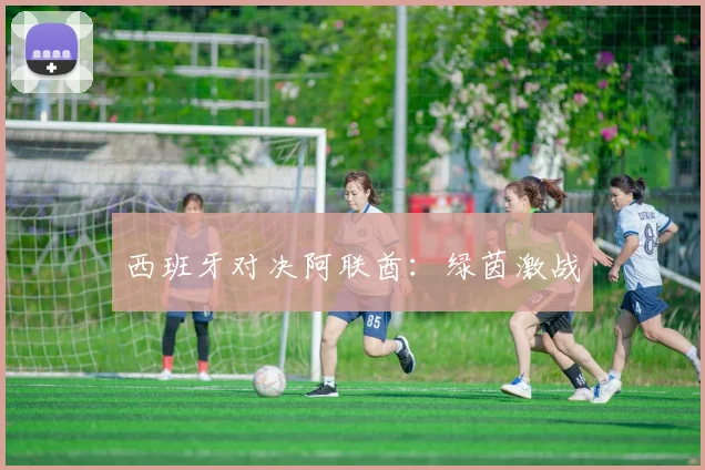 西班牙对决阿联酋:绿茵激战