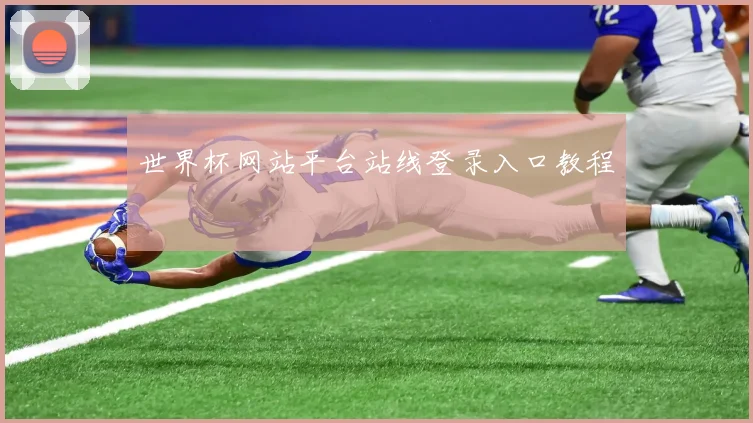 世界杯网站平台站线登录入口教程