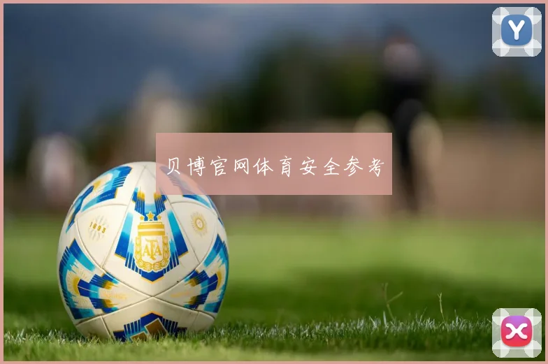 贝博官网体育安全参考