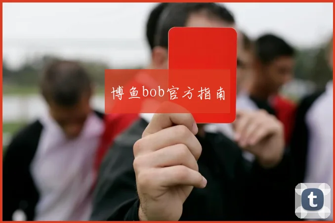 博鱼bob官方指南