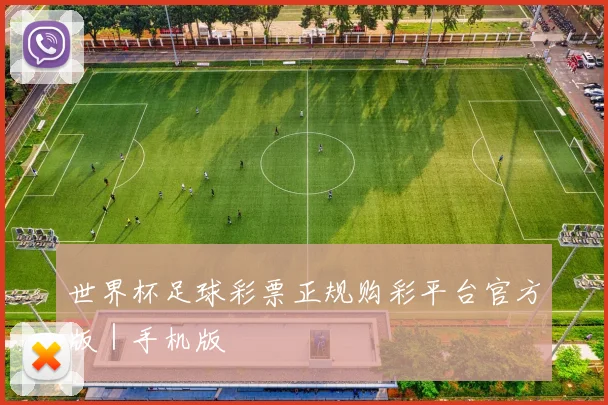 世界杯足球彩票正规购彩平台官方版｜手机版