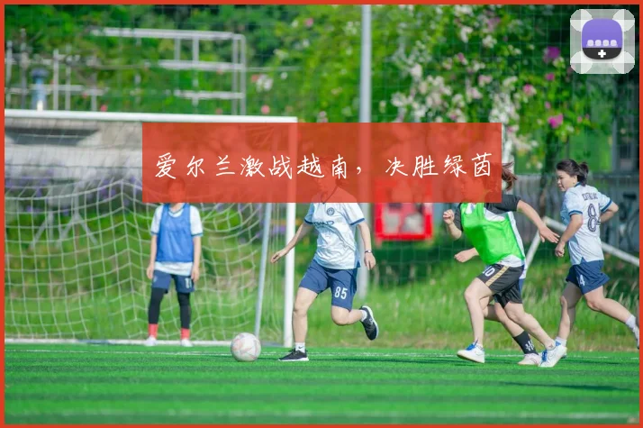 爱尔兰激战越南，决胜绿茵