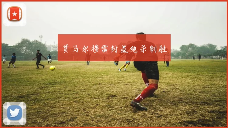 贾马尔穆雷封盖绝杀制胜