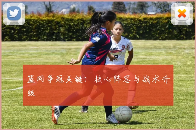 篮网争冠关键：核心阵容与战术升级