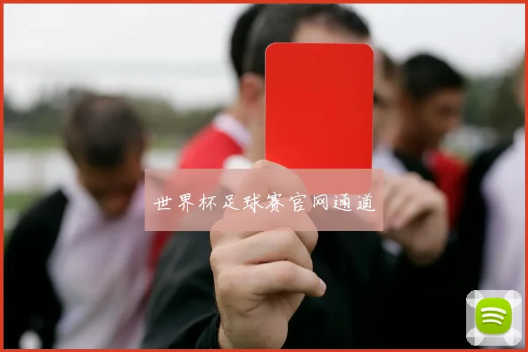 世界杯足球赛官网通道