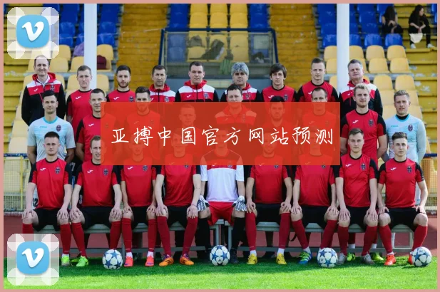 亚搏中国官方网站预测