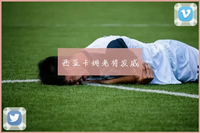 西亚卡姆老将发威