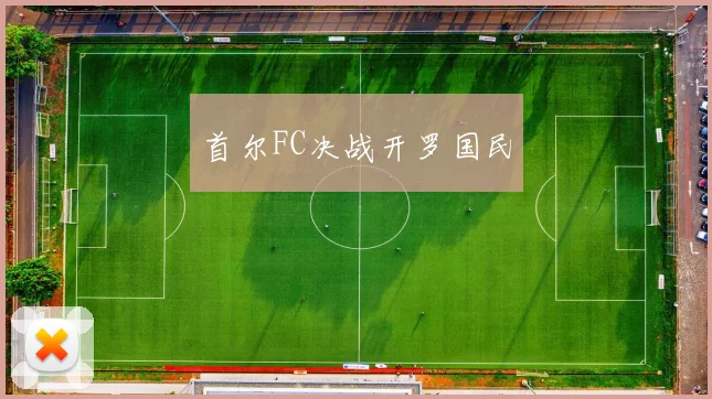 首尔FC决战开罗国民
