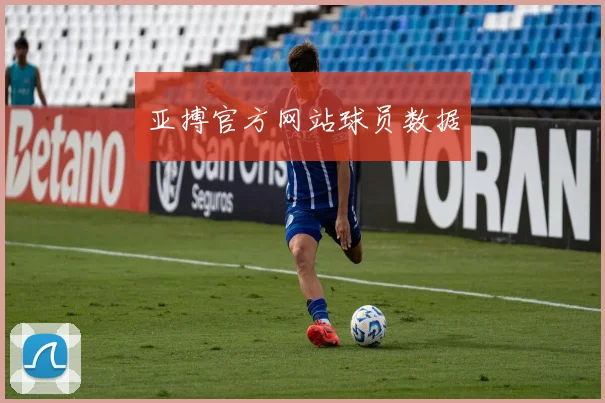 亚搏官方网站球员数据