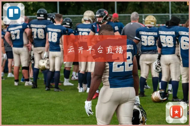 云开平台直播