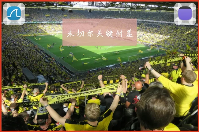 米切尔关键封盖