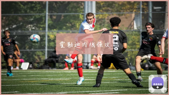 霍勒迪内线强攻