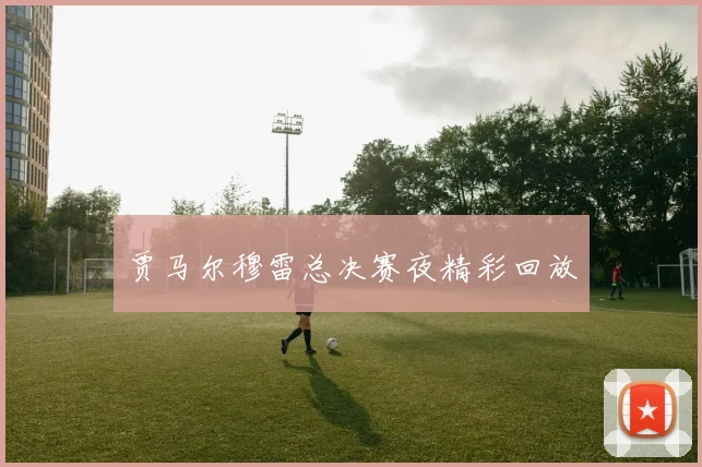 贾马尔穆雷总决赛夜精彩回放