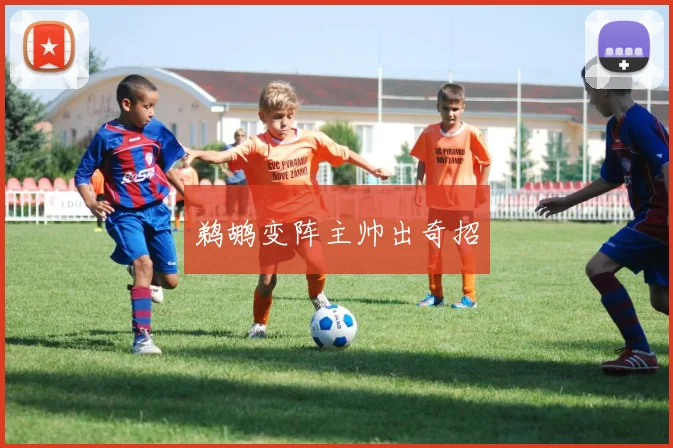 鹈鹕变阵主帅出奇招