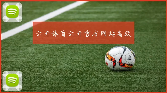云开体育云开官方网站高效