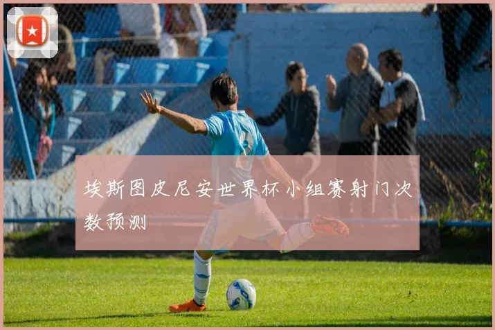 埃斯图皮尼安世界杯小组赛射门次数预测