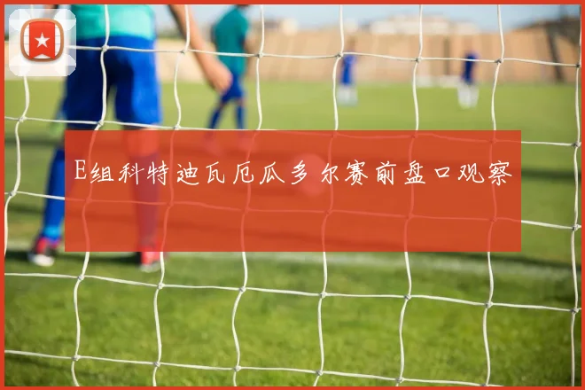 E组科特迪瓦厄瓜多尔赛前盘口观察