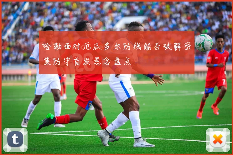 哈勒面对厄瓜多尔防线能否破解密集防守首发悬念盘点