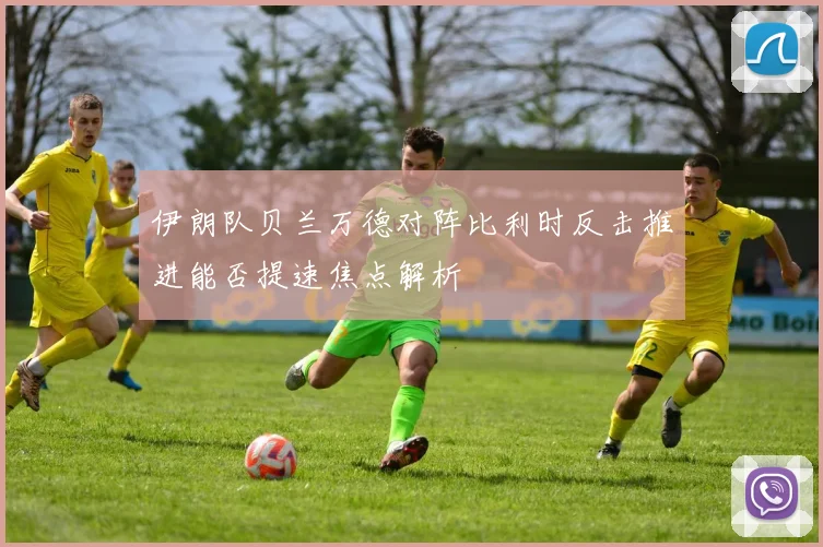 伊朗队贝兰万德对阵比利时反击推进能否提速焦点解析